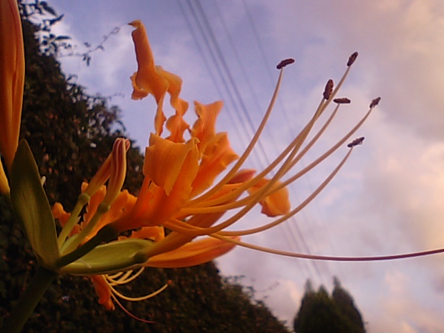 f0231709_11115067.jpg