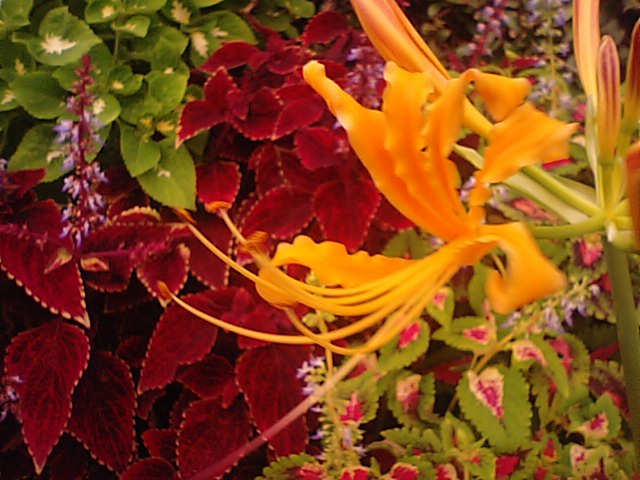 f0231709_11121567.jpg
