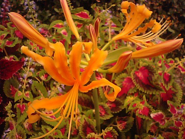 f0231709_11125297.jpg