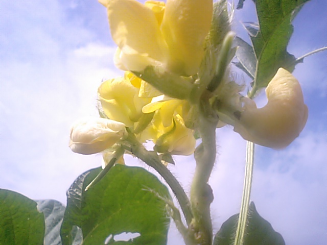 f0231709_1131458.jpg