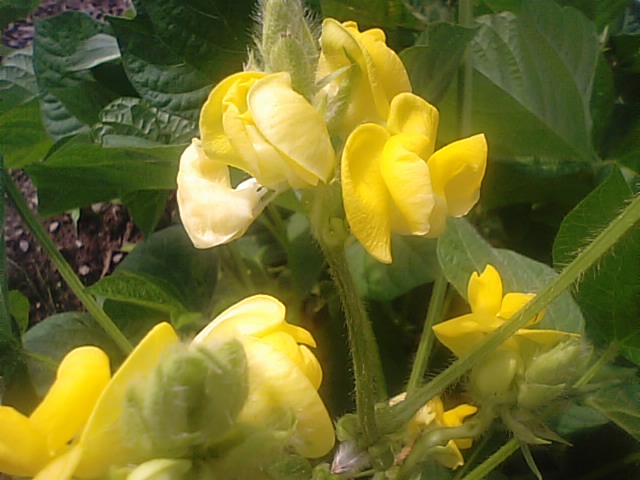 f0231709_11321047.jpg