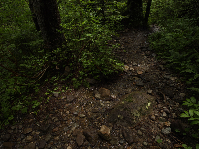 c0110112_225642100.jpg