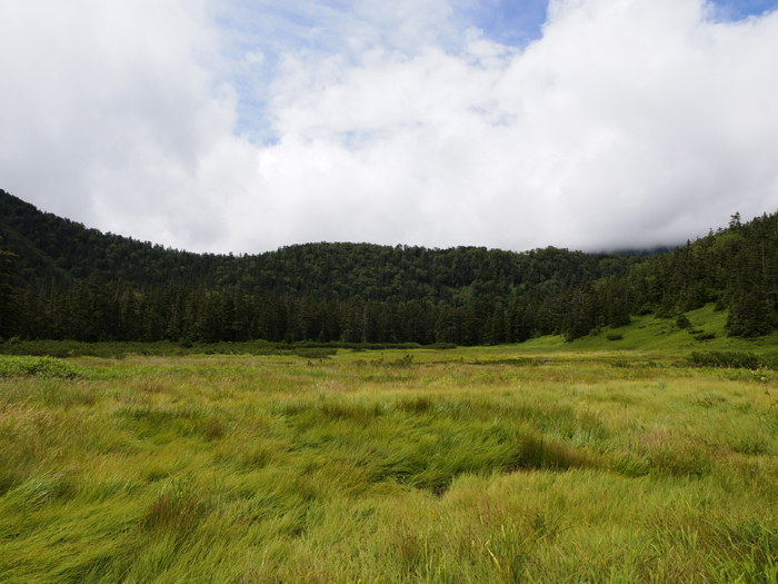 c0110112_2257146.jpg