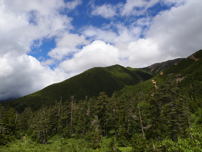 c0110112_2258450.jpg