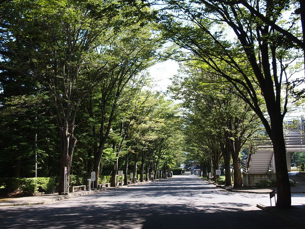 d0183417_2259589.jpg
