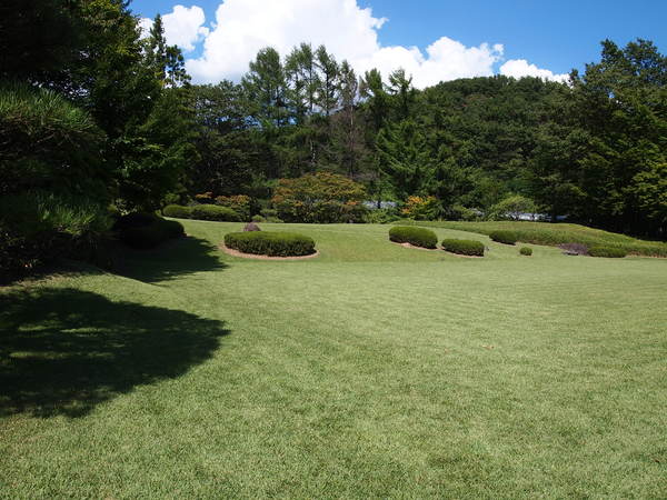 d0183417_2394869.jpg