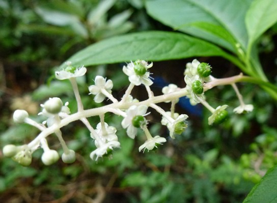 c0042418_7573626.jpg