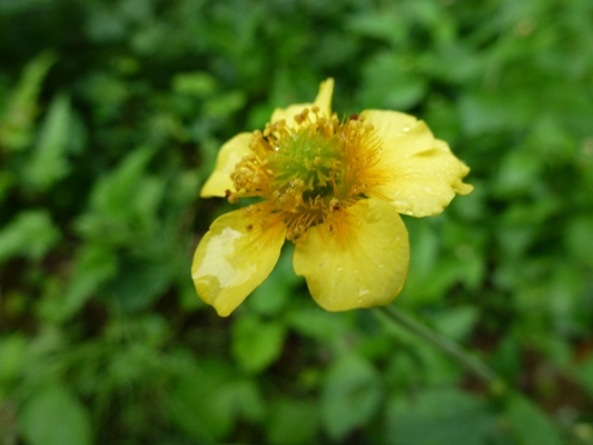 c0042418_757573.jpg