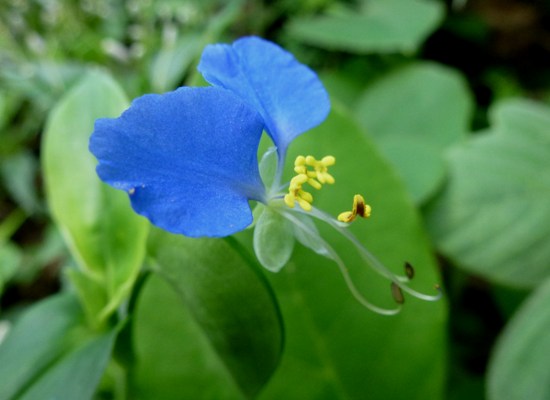 c0042418_7592587.jpg