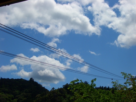 ５年がかりの結願遍路２０ 太龍寺 舎心ヶ嶽_e0008223_2245133.jpg