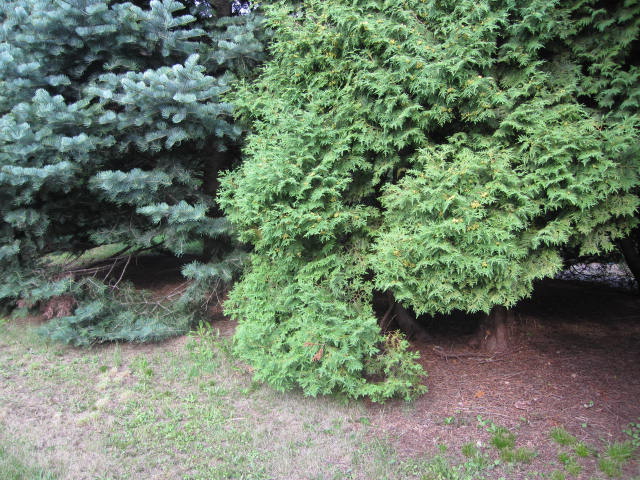 e0191826_22204448.jpg