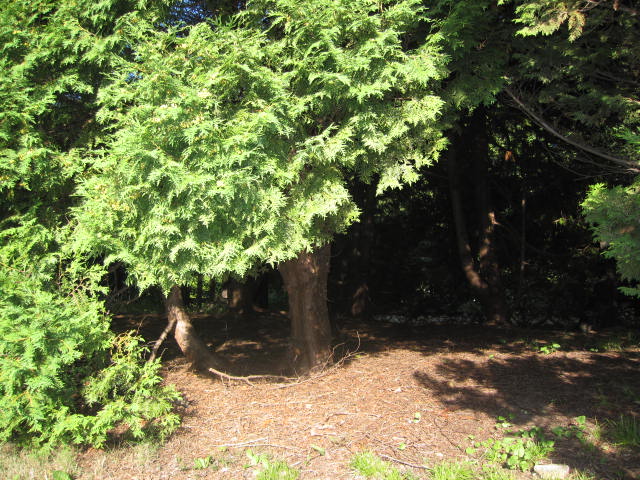 e0191826_22283371.jpg