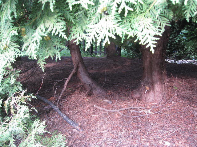 e0191826_22292122.jpg