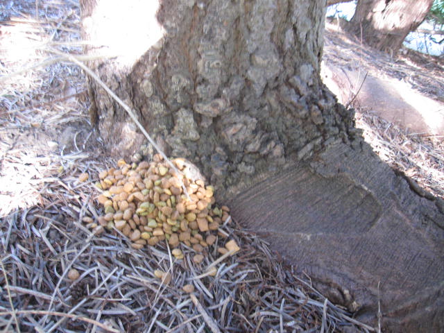 e0191826_22294774.jpg