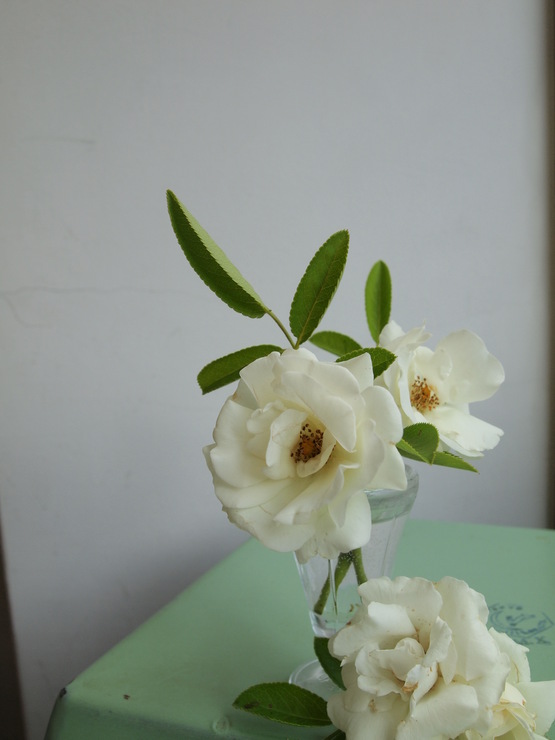 c0242130_935911.jpg