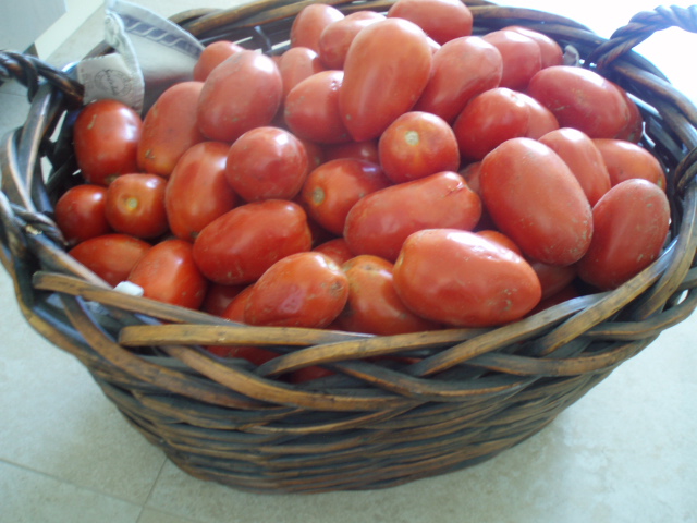 e0177330_11203518.jpg