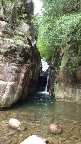 c0029332_2295786.jpg