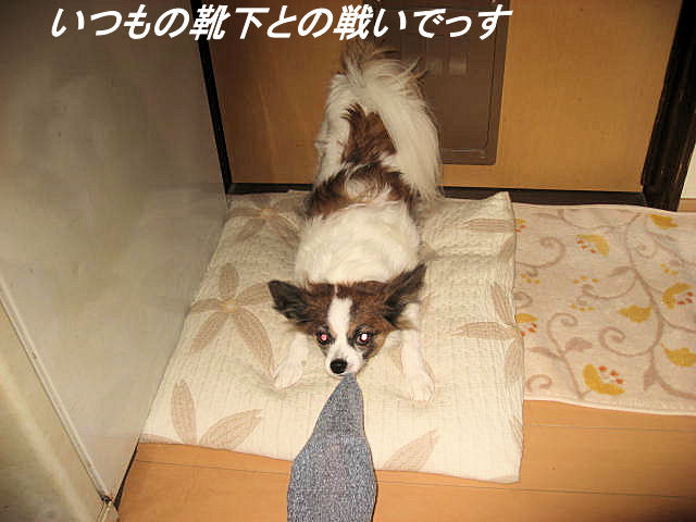 a0149240_10342116.jpg