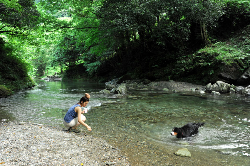 楽しいのは犬 それとも 川遊び Reon With Lr Roses 楽しいのは犬 それとも 川遊び Reon With Lr Roses