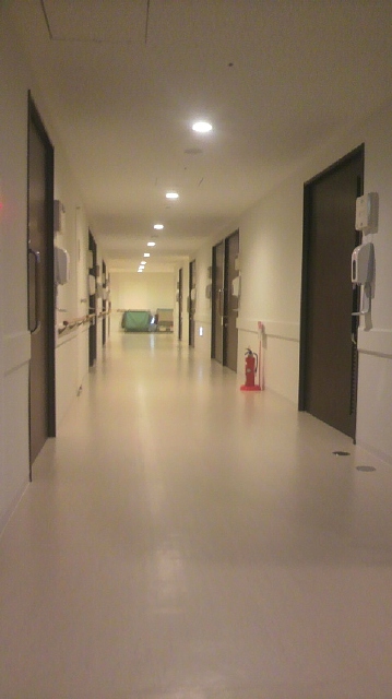 a0133142_922395.jpg