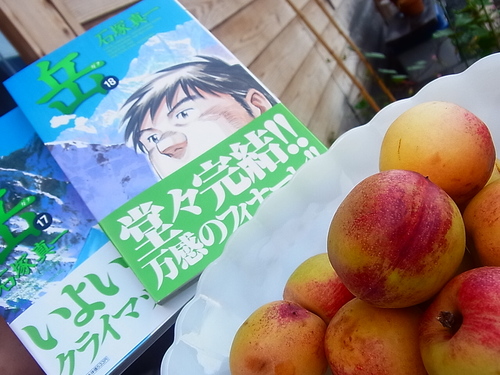 山桃!_b0207642_1554851.jpg