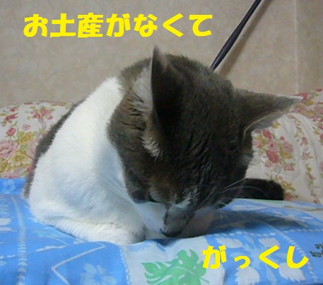 北陸へ-2_f0002743_14584972.jpg