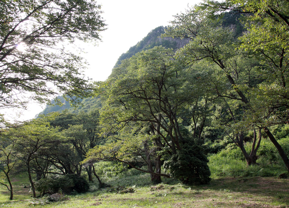 曽爾村　屏風岩　キツネノカミソリ_c0108146_2204929.jpg