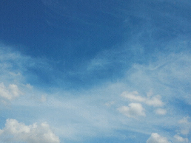 d0234648_00015.jpg