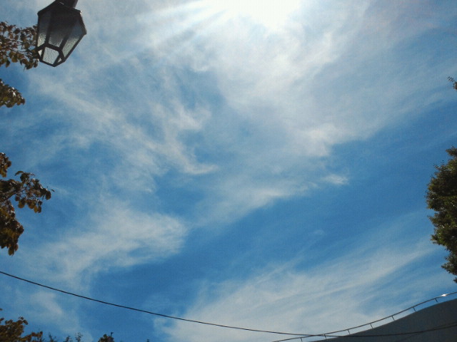 d0234648_00079.jpg
