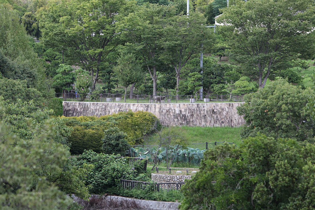 d0110849_2321880.jpg