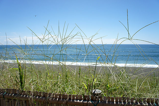 b0152660_15525550.jpg