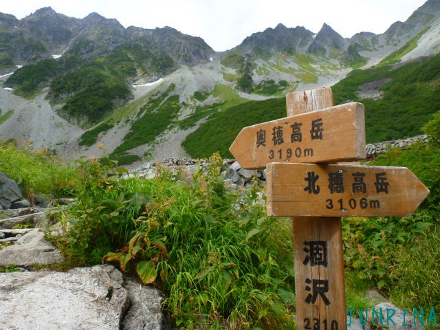 d0110562_93462.jpg