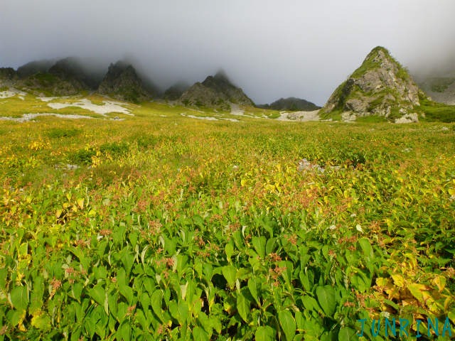 d0110562_935886.jpg