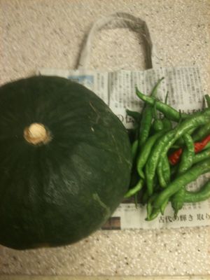 野菜達_f0134268_20454887.jpg