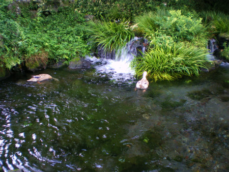 b0056570_104634.jpg