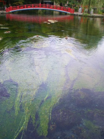 b0056570_124319.jpg