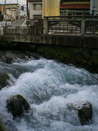 b0056570_131741.jpg