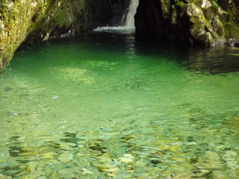 d0217072_4185615.jpg