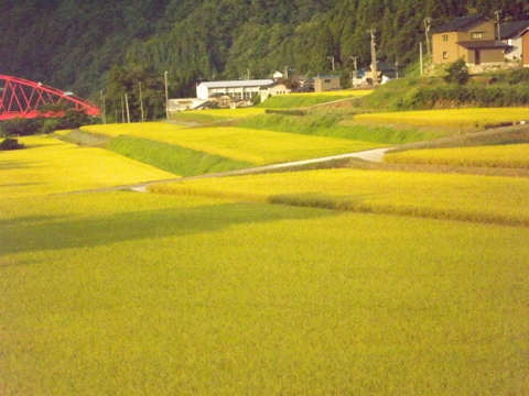 d0217072_4283165.jpg