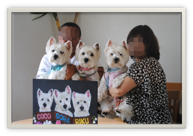 ♪ ダニエル DOG GARDEN RESORT 鶴ヶ島へ  ♪　_b0242873_0182448.png