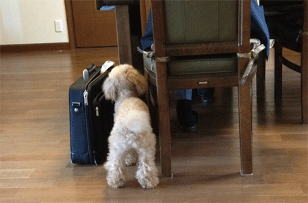 c0196673_833838.gif
