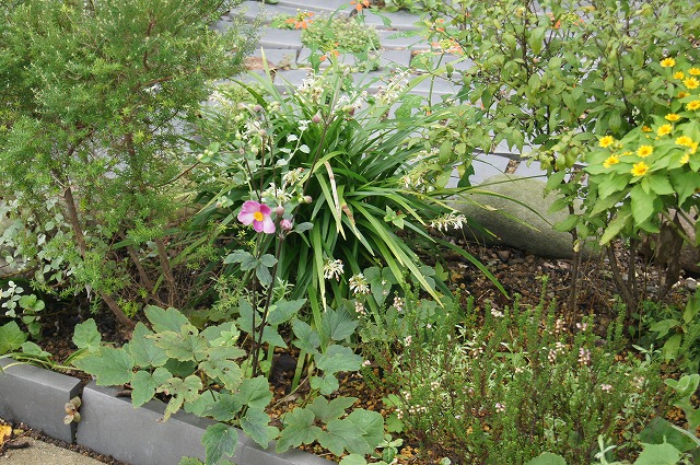 e0181373_20104289.jpg