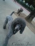 公園には沢山の仲間がいるよ…_d0266681_23272419.jpg