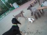 公園には沢山の仲間がいるよ…_d0266681_23283238.jpg