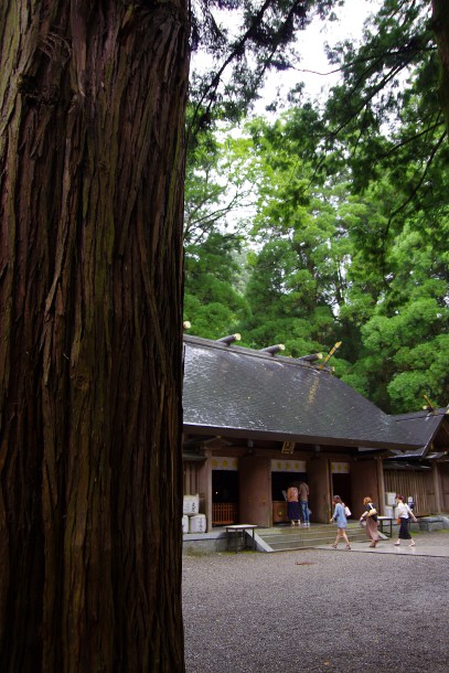 a0189883_05558.jpg