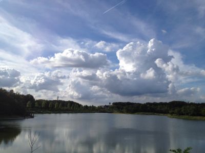 b0078288_2154730.jpg
