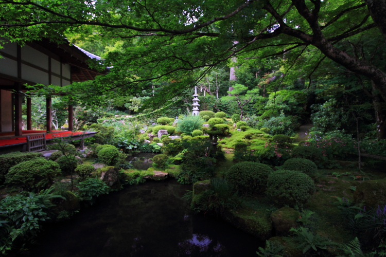 三千院_e0051888_21331588.jpg