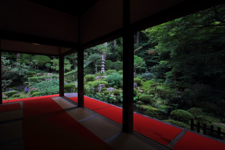 三千院_e0051888_21332653.jpg