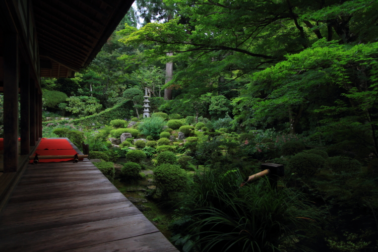 三千院_e0051888_21333844.jpg