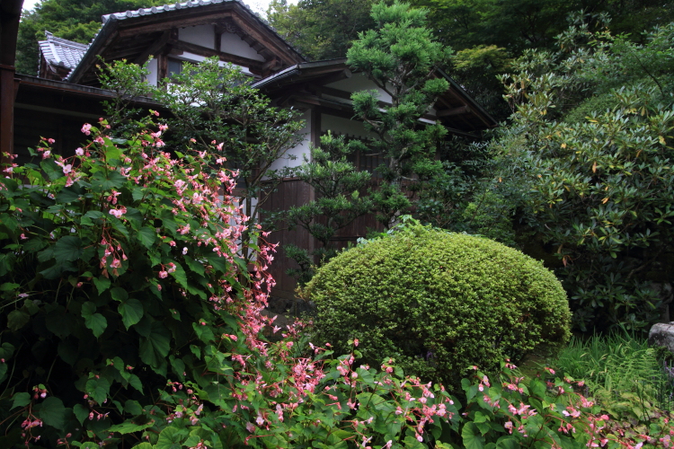 三千院_e0051888_21344461.jpg